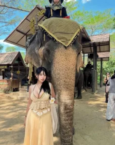 AsiaSharkyx น้องฉลาม